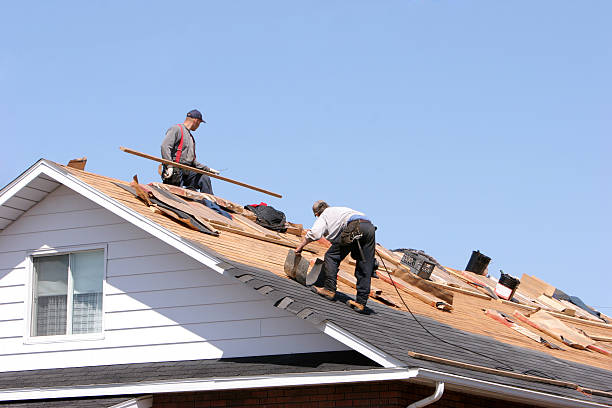 Best Skylight Installation and Repair  in Kearny, AZ
