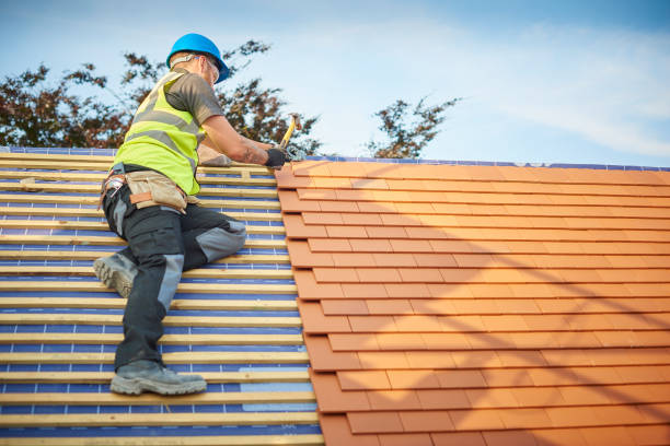 Steel Roofing in Kearny, AZ